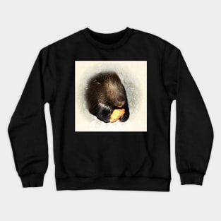 Crested porcupine Crewneck Sweatshirt